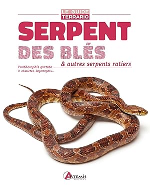 Serpent des blés & autres serpents ratiers