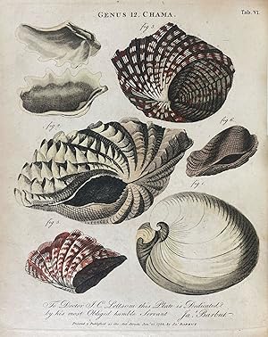 The Genera Vermium Exemplified by Various Specimens of the Animals Contained in the Orders of the...