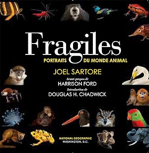 Fragiles: Portraits du monde animal
