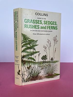 COLLINS GUIDE TO THE GRASSES, SEDGES RUSHES AND FERNS OF BRITAIN AND NORTHERN EUROPE