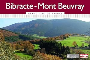 bibracte-mont beuvray 2015