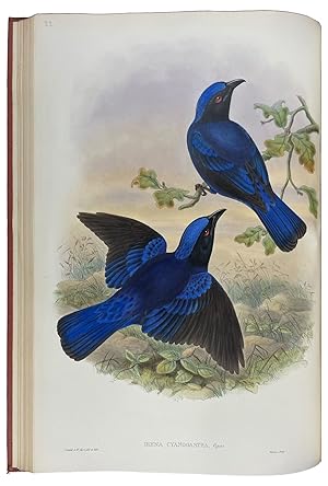 The Birds of Asia [Volume III]