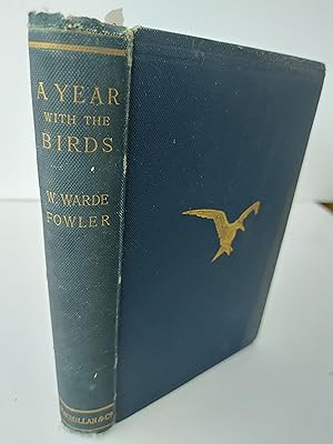 A Year With the Birds