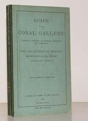 Guide to the Coral Gallery (Protozoa, Porifera or Sponges, Hydrozoa and Anthozoa) in the Departme...