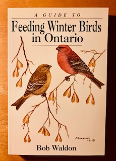 A Guide to Feeding Winter Birds in Ontario