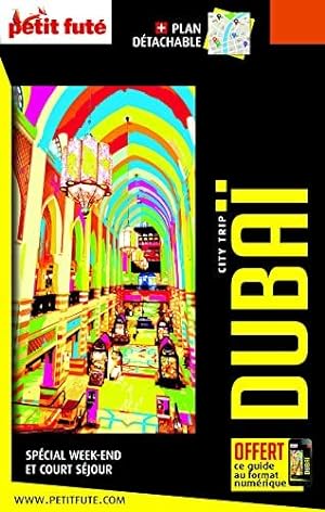 Guide Dubaï 2022-2023 City trip Petit Futé