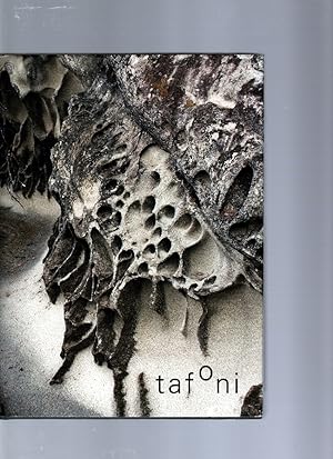 TAFONI: Natural Design of Weathered Stone