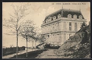 Carte postale Ajaccio /Corse, Château de la Punta