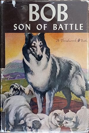 Bob Son of Battle (Thrushwood Books)
