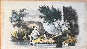 Antique print ducks | Coloured lithography of a person with mother duck and small ducks, persoon ...