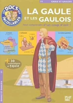 La Gaule et les Gaulois - Play Bac
