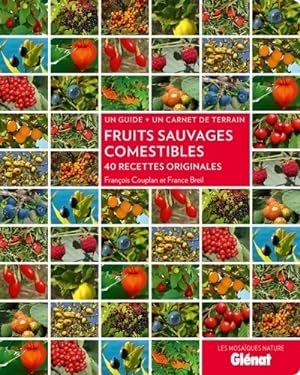Fruits sauvages comestibles : 40 recettes originales - Fran?ois Couplan
