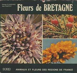 Fleurs de Bretagne - Georges Claustres