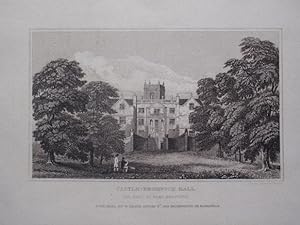 Original Antique Engraving Illustrating Castle Bromwich Hall in Warwickshire. Published By W. Ema...