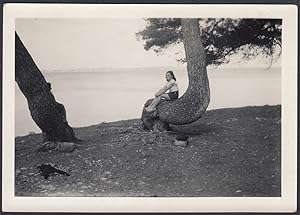 Cannes, Francia, Ile de St. Marguerite, Donna seduta sull'albero 1952 Fotografia vintage