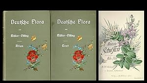 Deutsche Flora (Schul-Flora) - Originaltext- und Tafelband 1894 -
