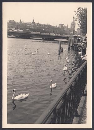 Svizzera 1965, Ginevra, Lago e Panorama, Foto epoca, Vintage photo