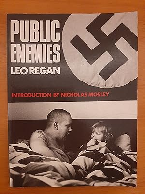 Public Enemies