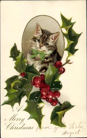 Präge Litho Glückwunsch Weihnachten, Stechpalme, Katze
