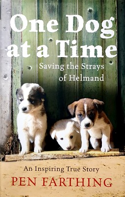 One Dog At A Time: Saving The Strays Of Helmand - An Inspiring True Story