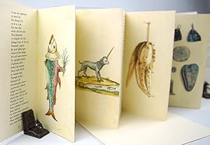 The Theater of Nature or Curiosity Filled the Cabinet