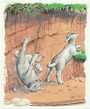 Original illustration for Beatrix Potter's 'Country Tales': p. 31, 'When the lambs tried to scram...