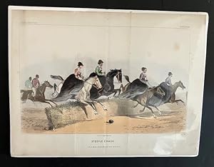 Steeple-Chase