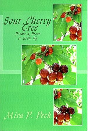 Sour Cherry Tree