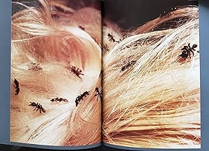 Parkett 24: Insert is an original colored photo by Cindy Sherman