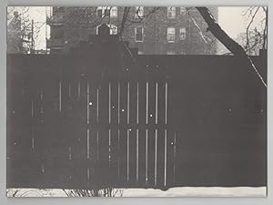 The City: A Photographic Essay