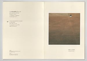 Terry Evans: Ground to Sky