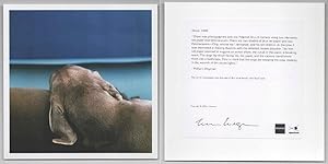 Shore, 1999 (Signed Photograph)