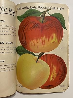 [NURSERYMAN'S GUIDE]. Plate Book. We Grow and Guarantee Fruit Trees, Grape Vines, Currant Bushes ...