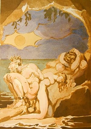 Visions of the Daughters of Albion