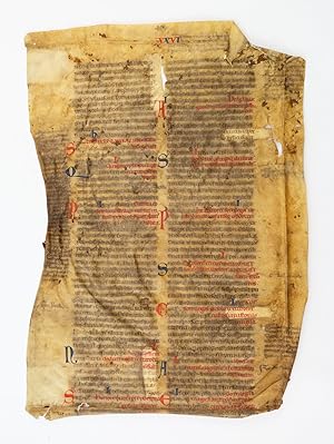 TEXT FROM PARS II, CAUSA XXIV, QUAESTIO V, ON THE ERADICATION OF SORCERY AND MAGIC
