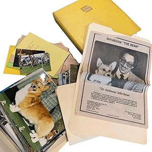 Large Photo Archive of Champion Pembroke Welsh Corgis from the Pacific Northwest