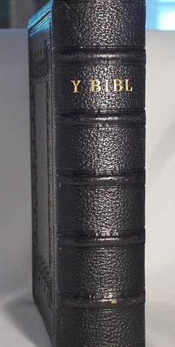 Y Bibl Cyssegr-Lan Sef Yr Hen Destament A'R Newydd (Welsh Bible)