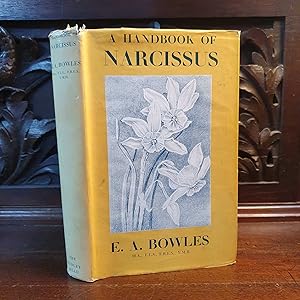 A Handbook of Narcissus