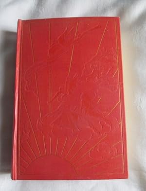 The Pink Fairy Book