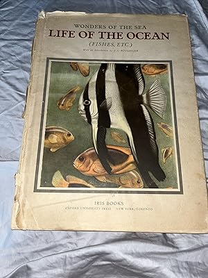 WONDERS OF THE SEA LIFE OF THE OCEAN