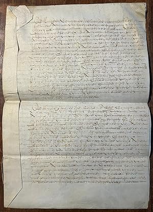 Manuscript on parchment Comparitie Amsterdam legal 1688 | Manuscript dated 1688 comparitie Hoogen...