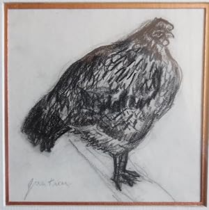 Chicken - Poule