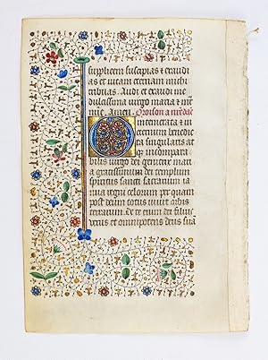 TEXT FROM "O INTEMERATA."