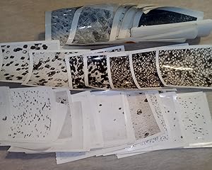 RARE Photographs of Plutonium Fission Tracks (circa 1961)