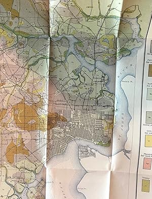 Jacksonville, Florida soil survey map.