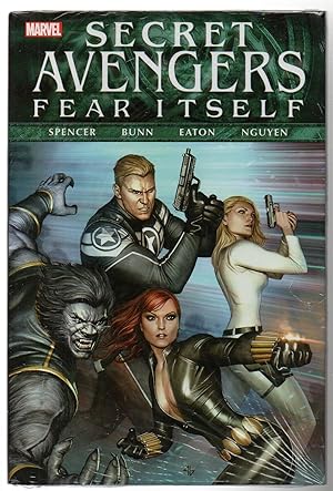 Fear Itself: Secret Avengers