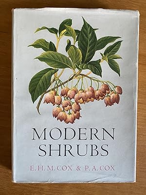 Modern Shrubs