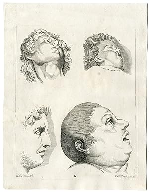 Antique Master Print-STUDY-OF-FOUR-HEADS-Hertel-Goltzius-18th c.