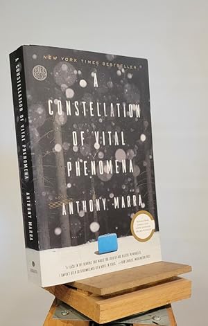 A Constellation of Vital Phenomena: A Novel