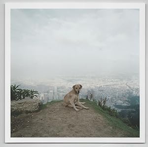 Dog Days Bogota (Signed Photograph)
